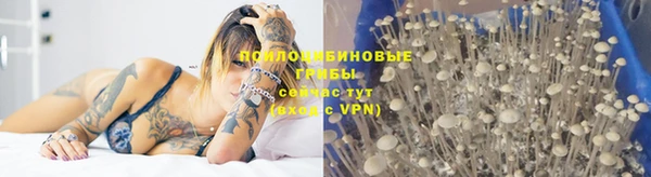 соль ск Вязники