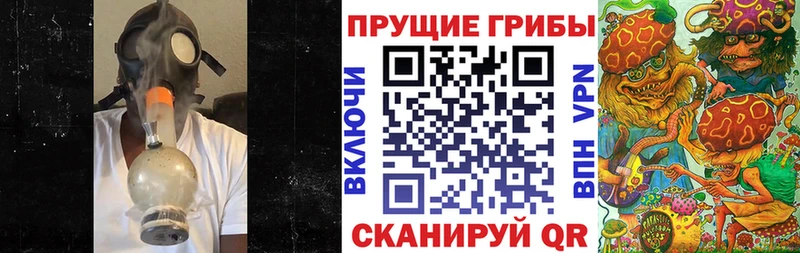 Купить где Будённовск Псилоцибиновые грибы MAGIC MUSHROOMS